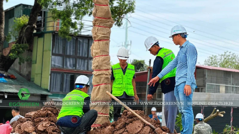 Nhật ký công trình: Một ngày làm việc của đội thi công cảnh quan EGOGREEN tại công trường Kepler Tower